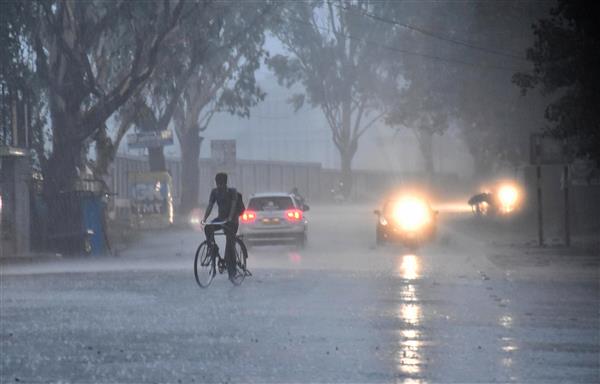 Monsoon, Weather, Odisha, IMD