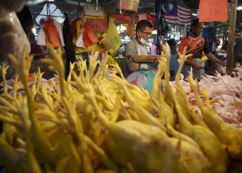 A seller prepares freshly butchered chickens at the Kampung Baru wet market in Kuala Lumpur, Malaysia. (Photograph: Vincent Thian/AP)