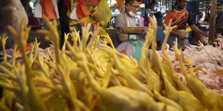 A seller prepares freshly butchered chickens at the Kampung Baru wet market in Kuala Lumpur, Malaysia. (Photograph: Vincent Thian/AP)