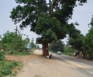 A road connecting Chandaka Square and Nandankanan Road 