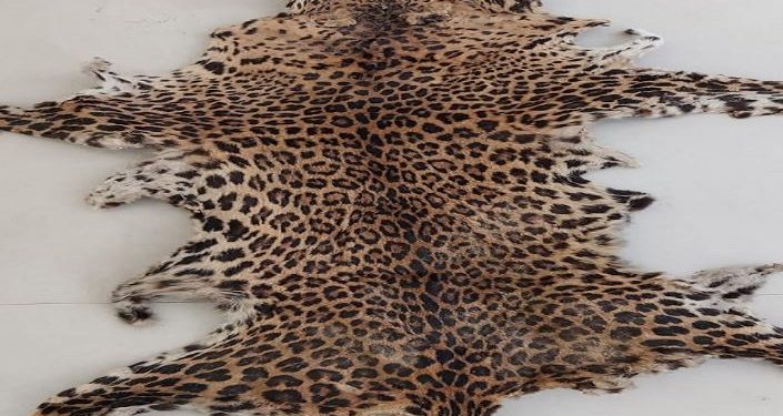 LEOPARD SKIN