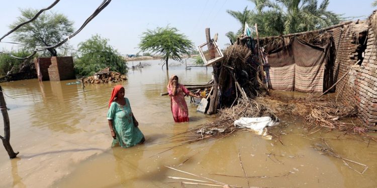 Pakistan flood death toll rises to 1,559