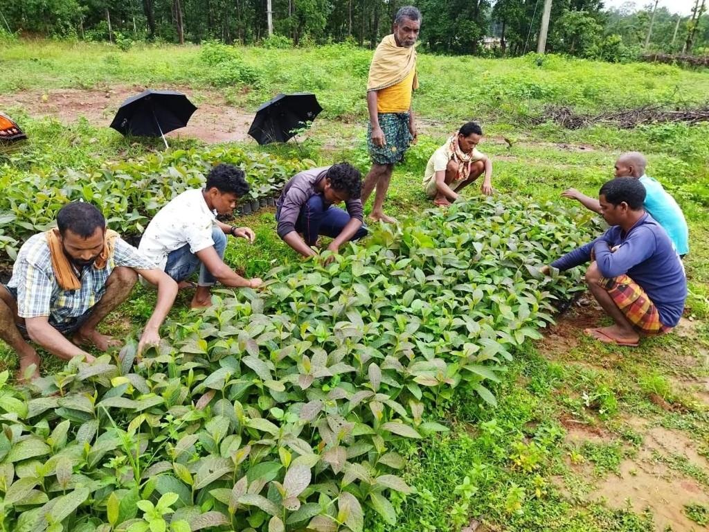 Farming sector