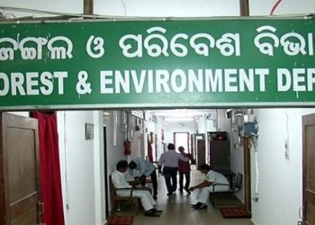 Forest Department