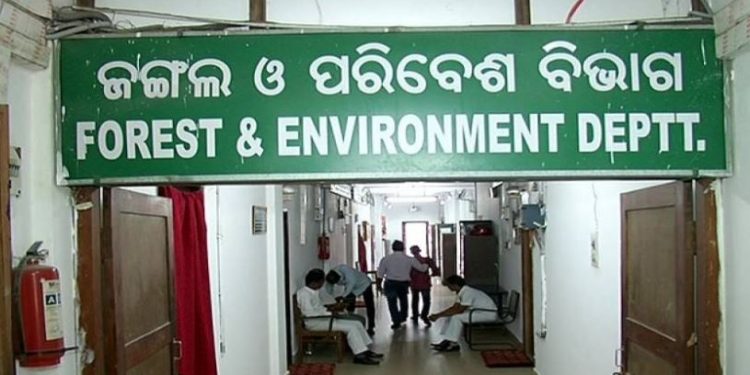 Forest Department