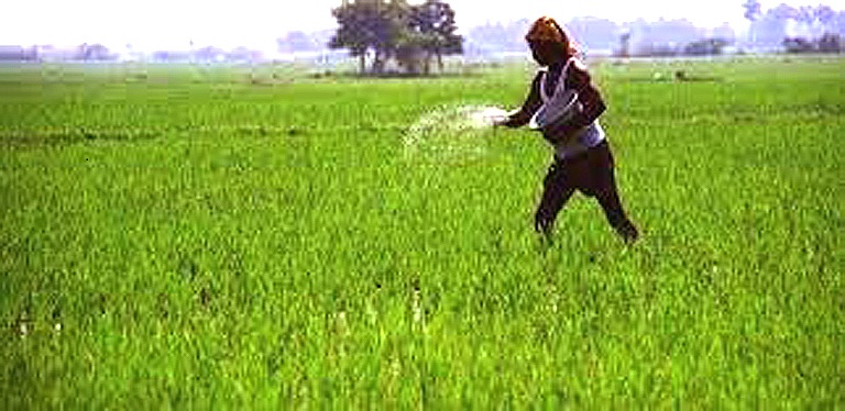 Indian farmer