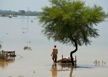 33 million people affected in Pakistan floods