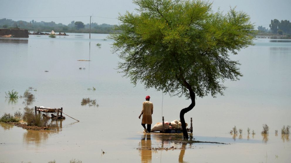 33 million people affected in Pakistan floods