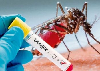 dengue Bhubaneswar Odisha