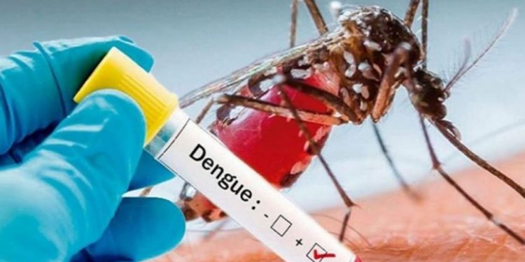 dengue Bhubaneswar Odisha