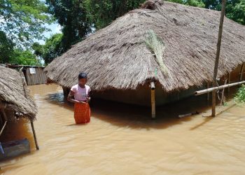 Flood, Odisha, Mahanadi