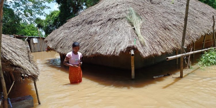 Flood, Odisha, Mahanadi