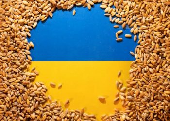 ukraine grain exports