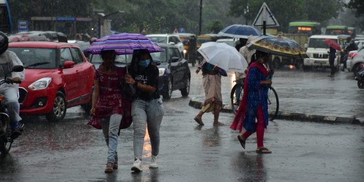 Odisha weather update