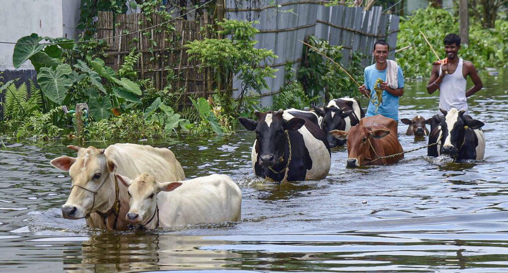Floods