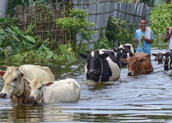 Floods