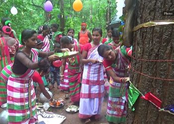 Mayurbhanj's tribal communities bind with the best, tie rakhis to trees.