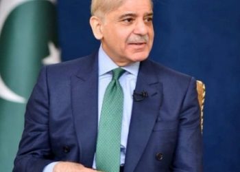 Shehbaz Sharif, Pakistan