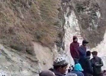 11 killed as vehicle falls into gorge in Uttarakhand's Chamoli