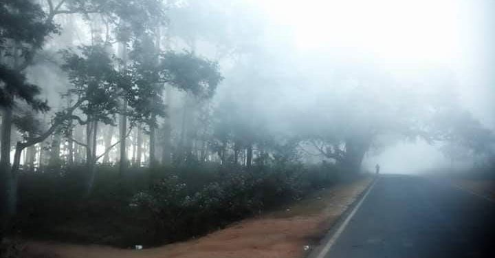 Odisha cold weather