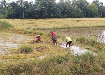 BJD-BJP slugfest starts over delay in crop insurance payment