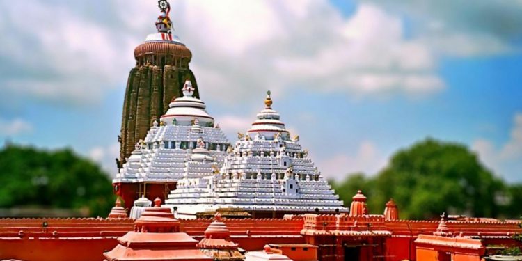 Rodent, Puri, Jagannath Temple