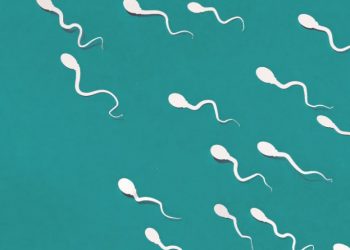 Sperm