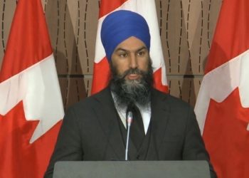 Jagmeet Singh, Canada, G20