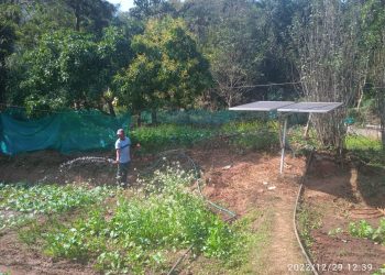 Solar energy, Gajapati, farmer