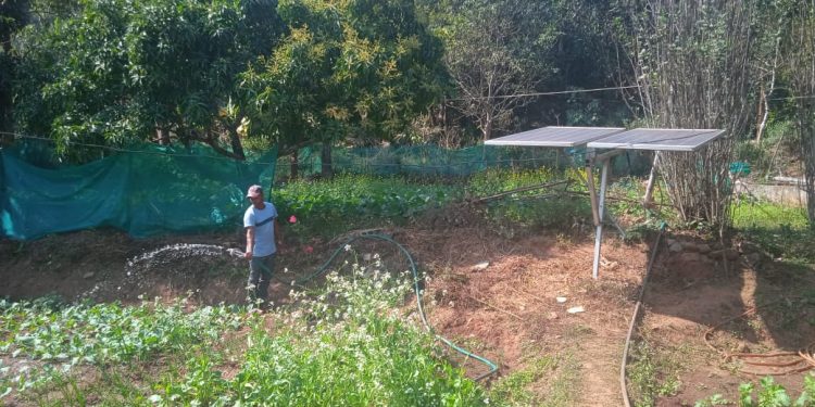 Solar energy, Gajapati, farmer