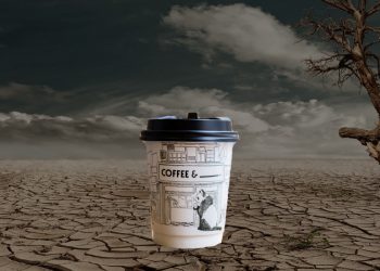 Coffee, Climate change, Global Warming