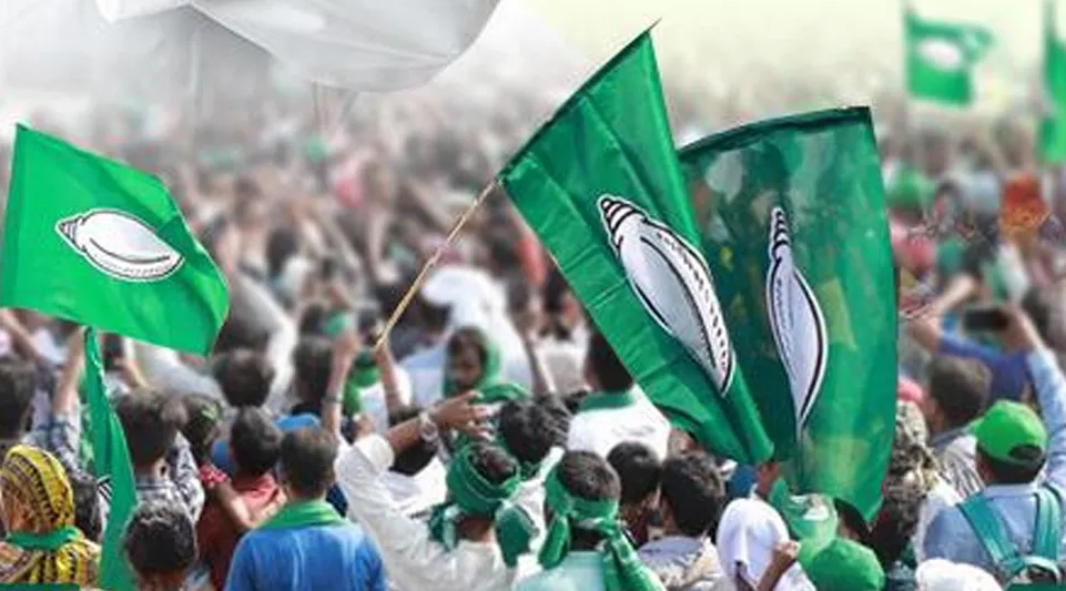 BJD flags