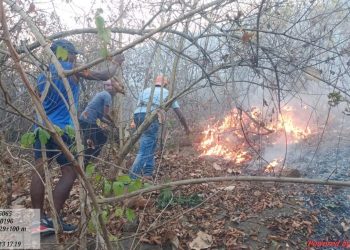 Drone cameras to check fires in Rayagada forests