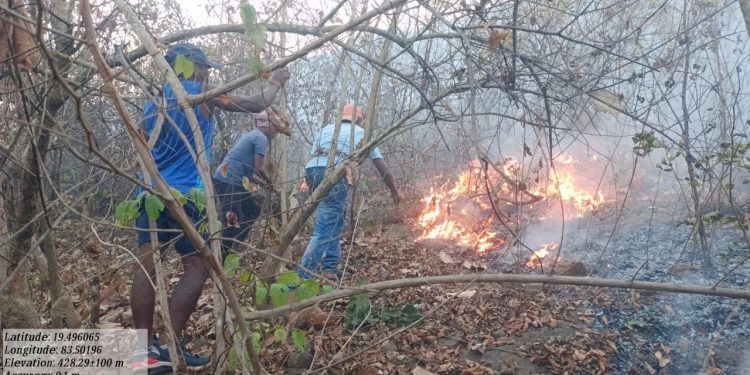 Drone cameras to check fires in Rayagada forests