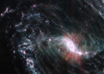 Network of gas, dust in nearby galaxies