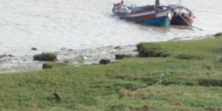 Bhitarkanika