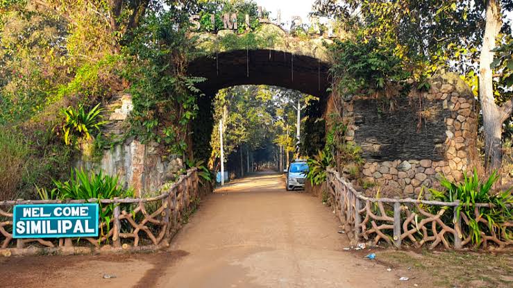 Odisha forester killing Similipal national park