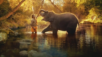 Oscar-winning 'Elephant Whisperers' shot at Theppakadu camp, oldest in Asia