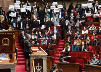 French Govt invokes special constitutional power to pass pension bill without parliamentary voting  (Image: Twitter)