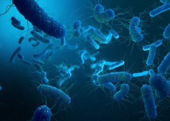 Israeli scientists develop world's 1st mRNA vax for deadly bacteria