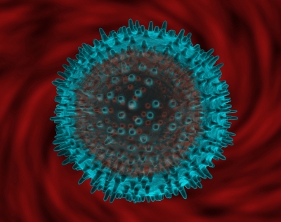 Odisha intensifies surveillance for H3N2 virus