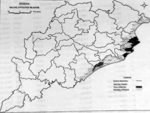 Saline groundwater in Odisha