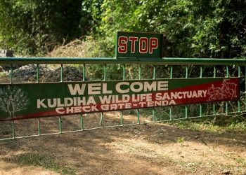 Kuldiha deathtrap for jumbos as eight die in a year