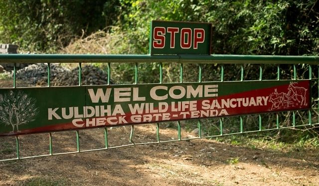 Kuldiha deathtrap for jumbos as eight die in a year