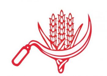 CPI(M) to contest Karnataka election with its corn and sickle symbol (Image: Deccan Herald)