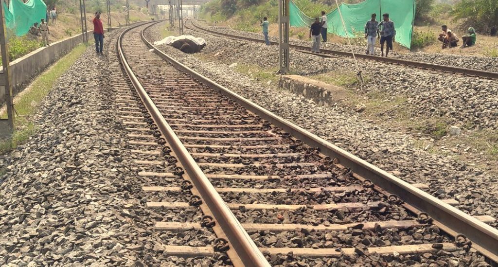 Tusker death: DFO lays blame on Railways