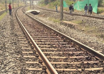 Elephant killed after being hit by goods train in Odisha