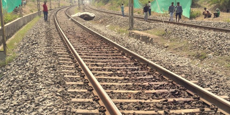 Elephant killed after being hit by goods train in Odisha