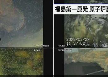 Damaged base of Fukushima Nuclear Reactor (Image: Twitter)