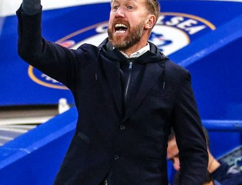 Graham Potter (Image: brfootball/Twitter)